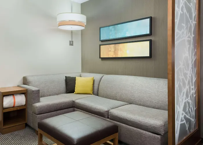 Hyatt Place Austin/round Rock Hotel